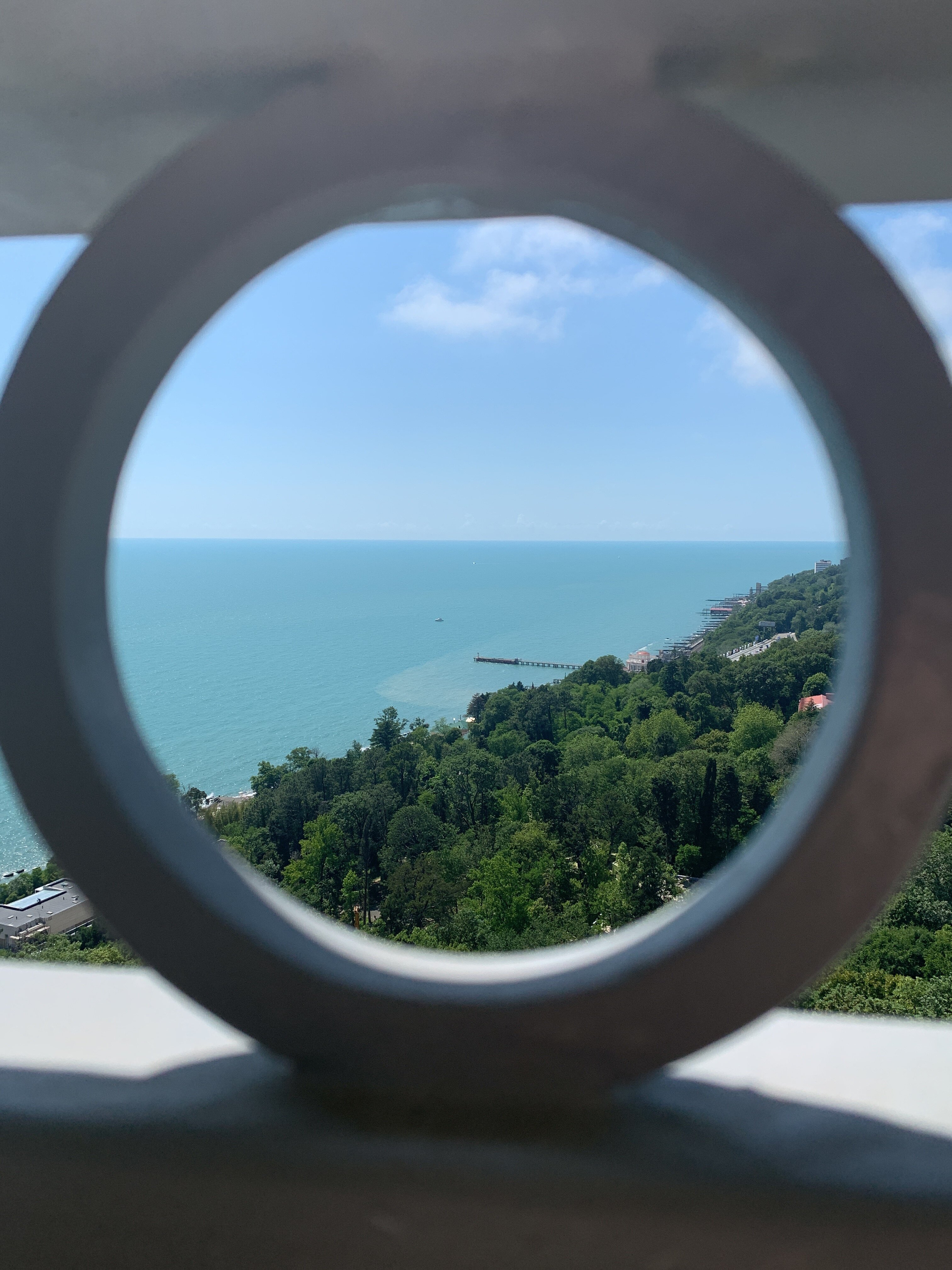 Фото Зелёная роща