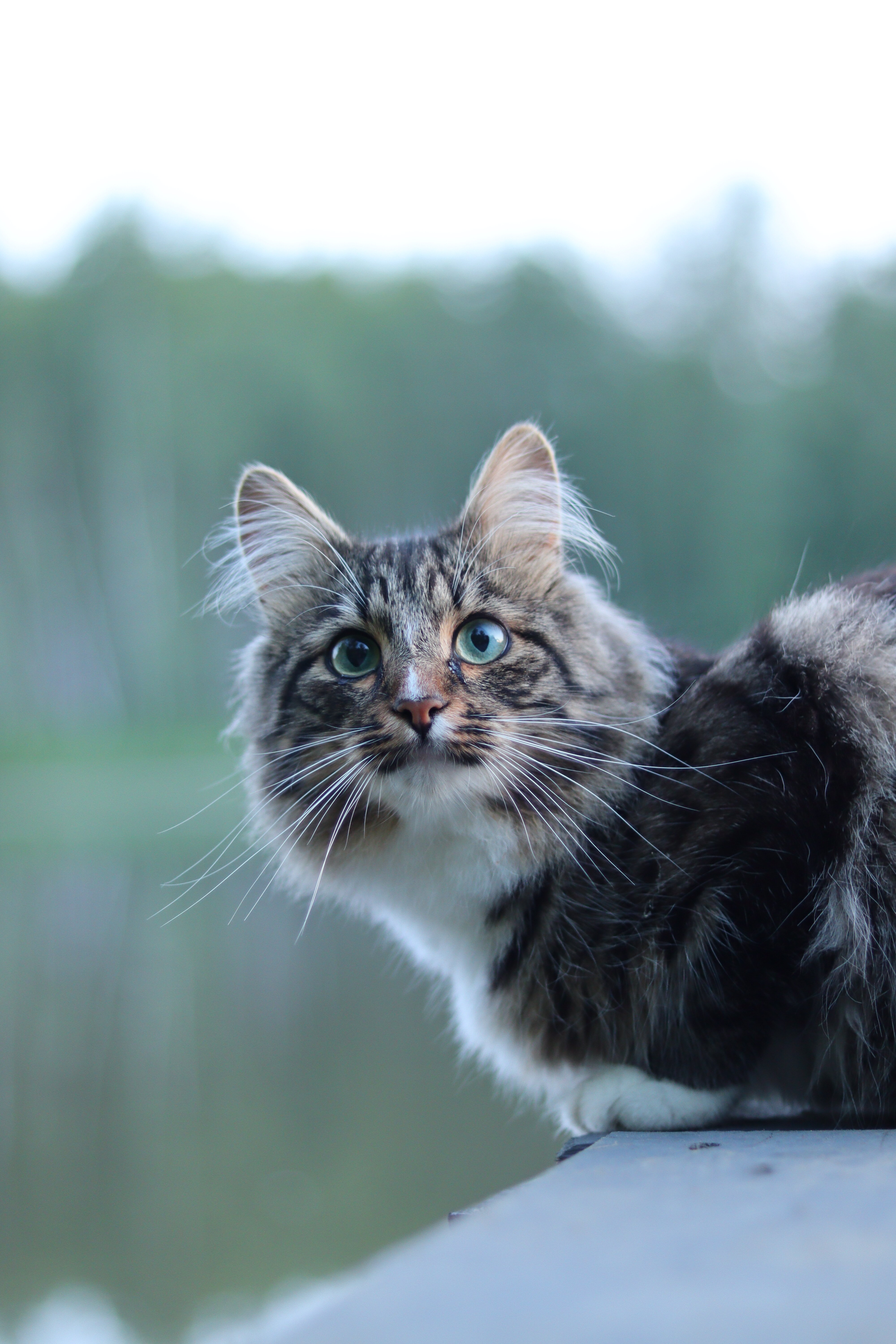 Фото Прованс