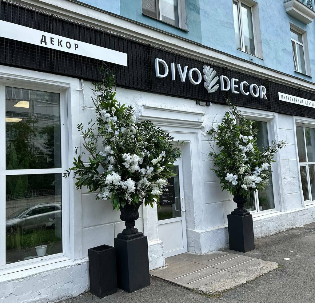 النباتات والزهور الاصطناعية Iskusstvennyye tsvety - Divo-dekor ، كراسنويارسك، صورة