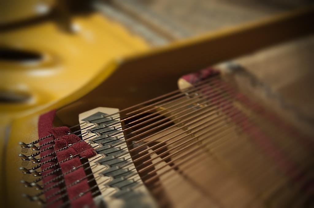 Фото Hotel Villa Del Cardinale