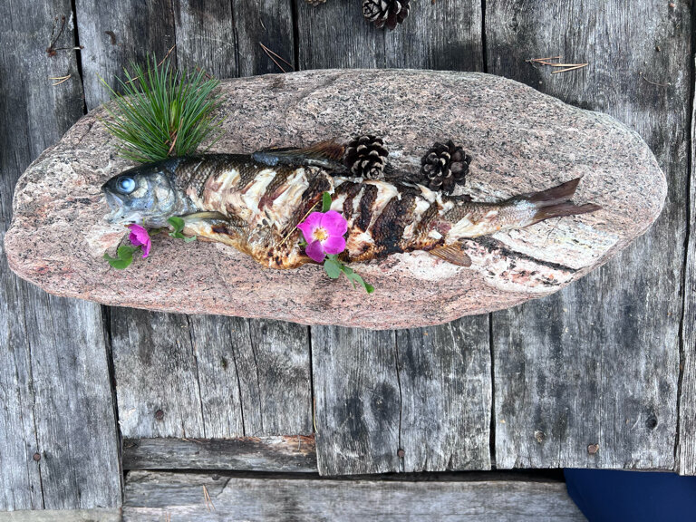 Фото Без паники, мой капитан!