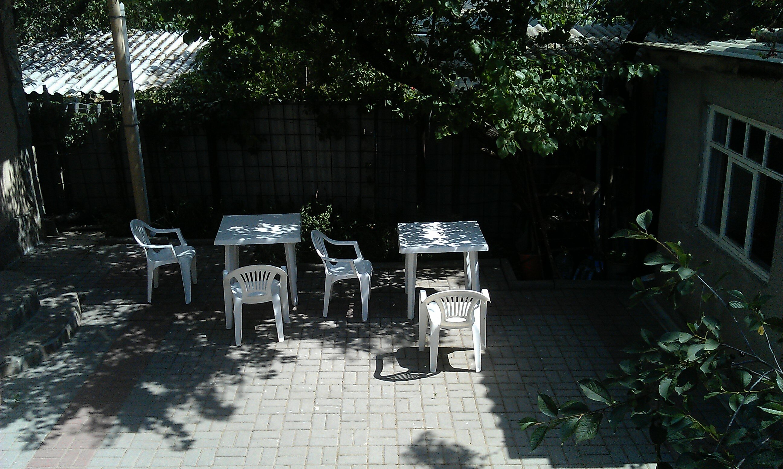 Фото Белая Чайка