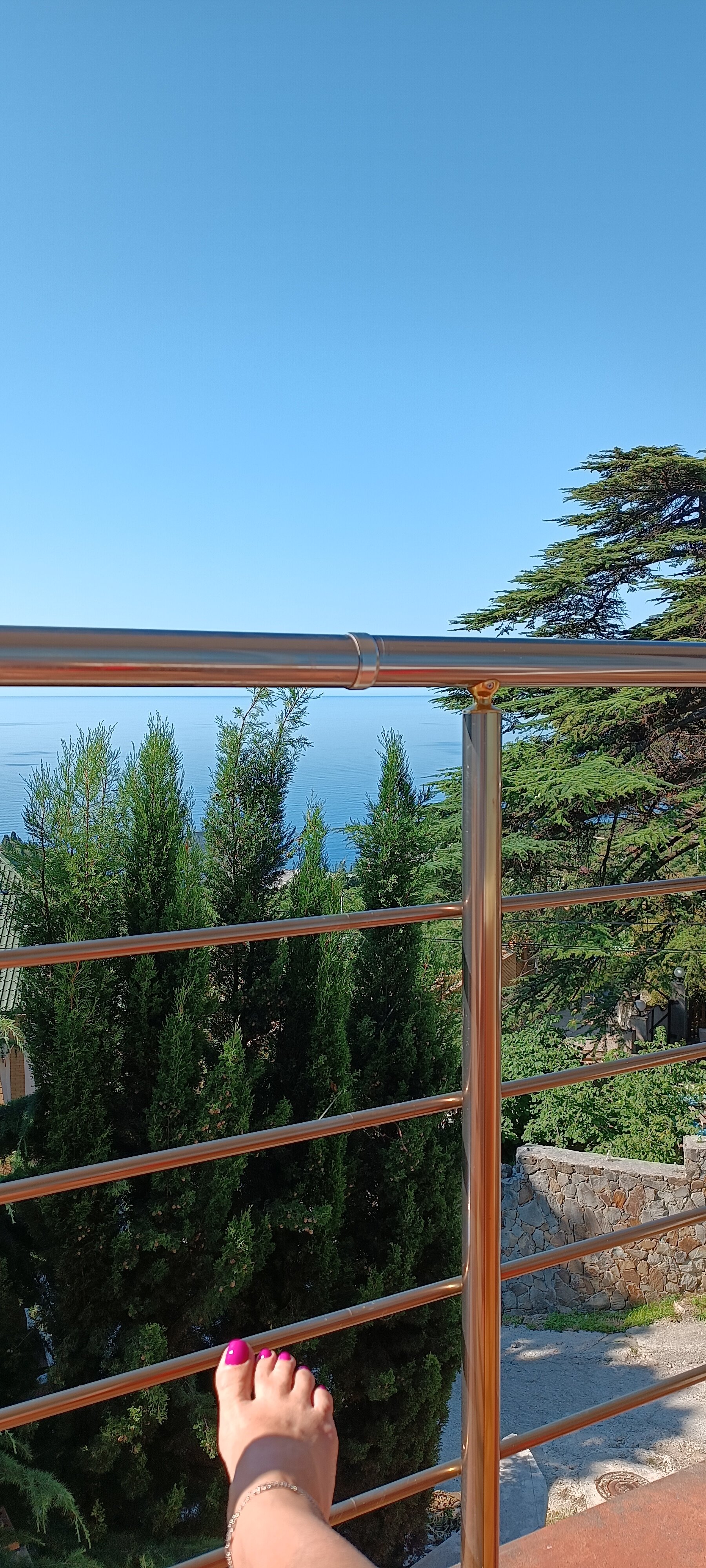 Фото Magic Kingdom