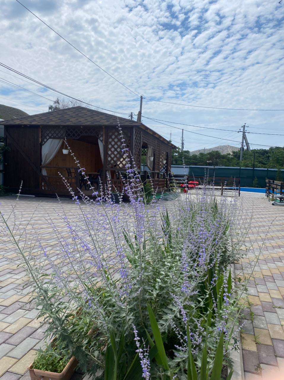 Фото Фэмили