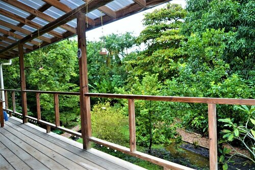 Гостиница Sanpopo Tree Top Cottage - A Gold Standard Tourism Approved Tree Top Home в Сан-Игнасио