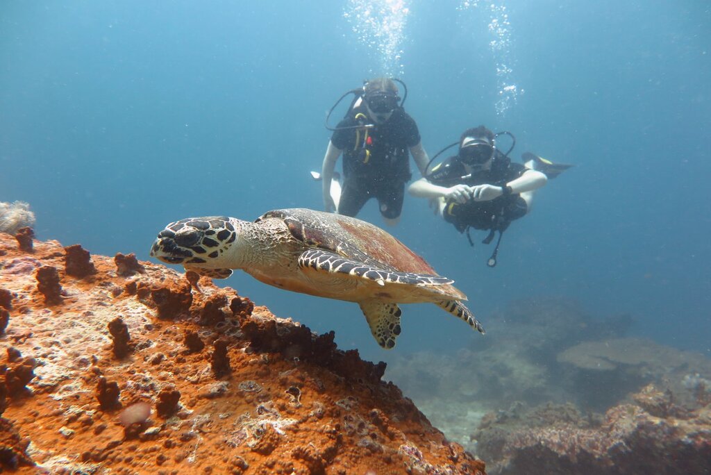 Diving Mantaray, Phuket Province, photo