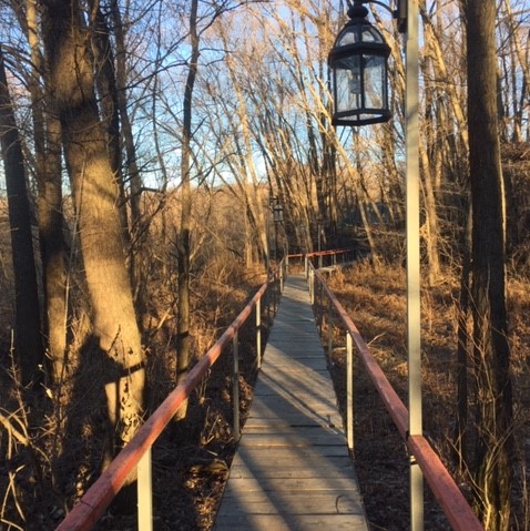 Фото Красивая поляна