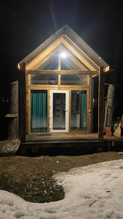 Фото Лесной кот