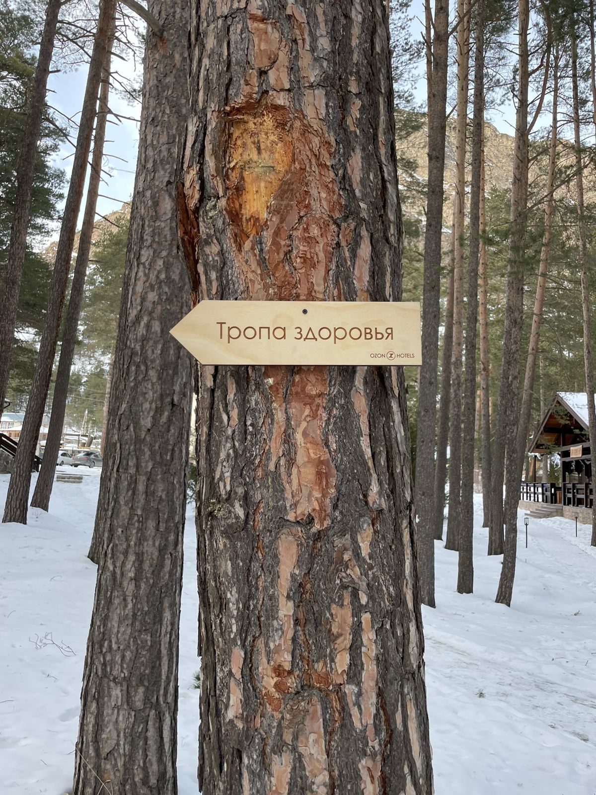 Фото Ozon Village