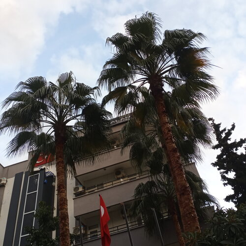 Гостиница Отель Inn Alanya в Аланье