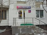 Wildberries (Kantemirovskaya Street, 20к1), point of delivery