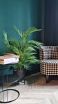 Real Touch Flowers (Babushkina Street, 3), artificial plants and flowers