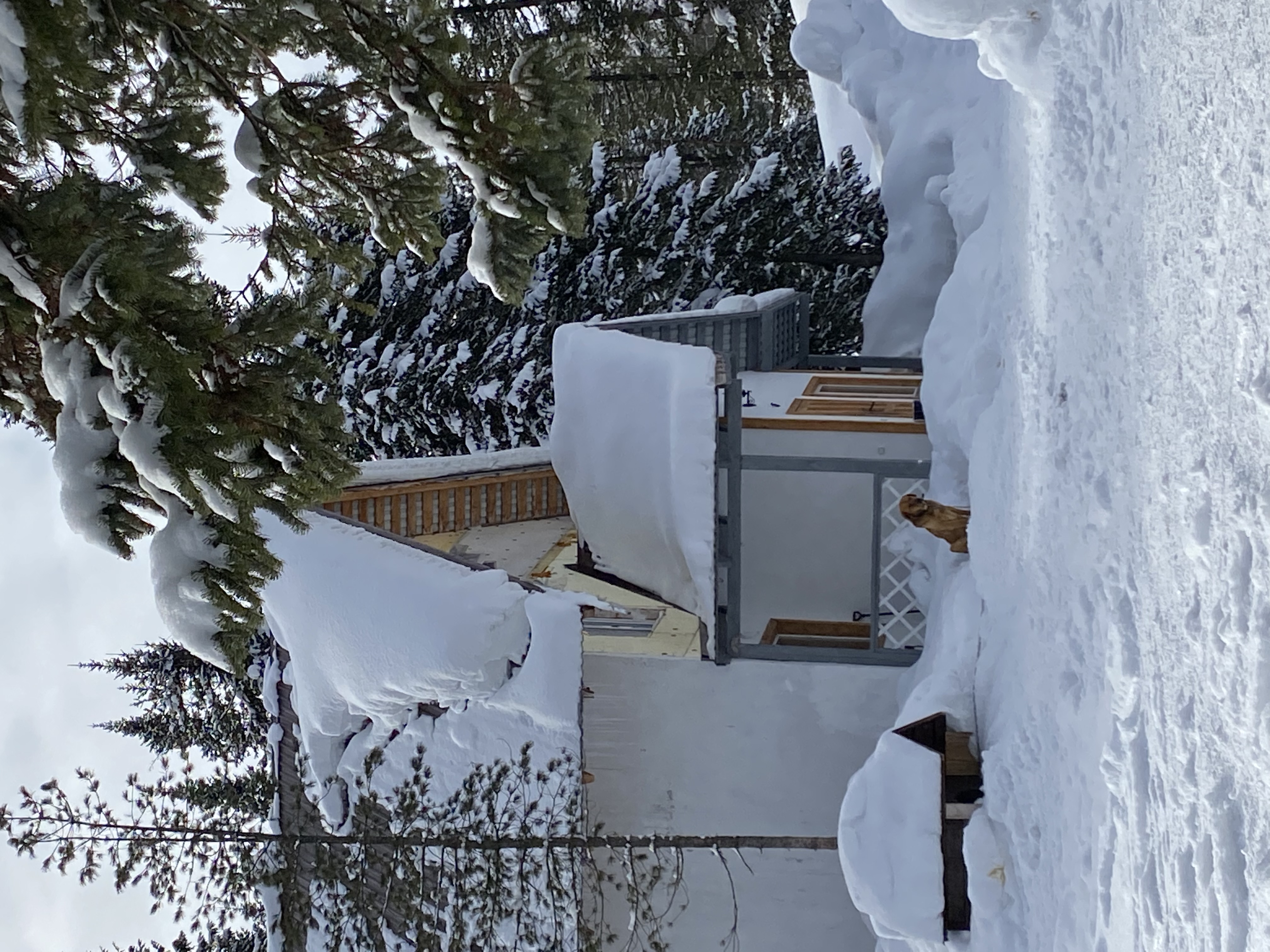 Фото Шервуд