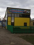 MSavto (posyolok gorodskogo tipa Alekseyevskoye, Podlesnaya ulitsa, 50к1), auto parts and auto goods store