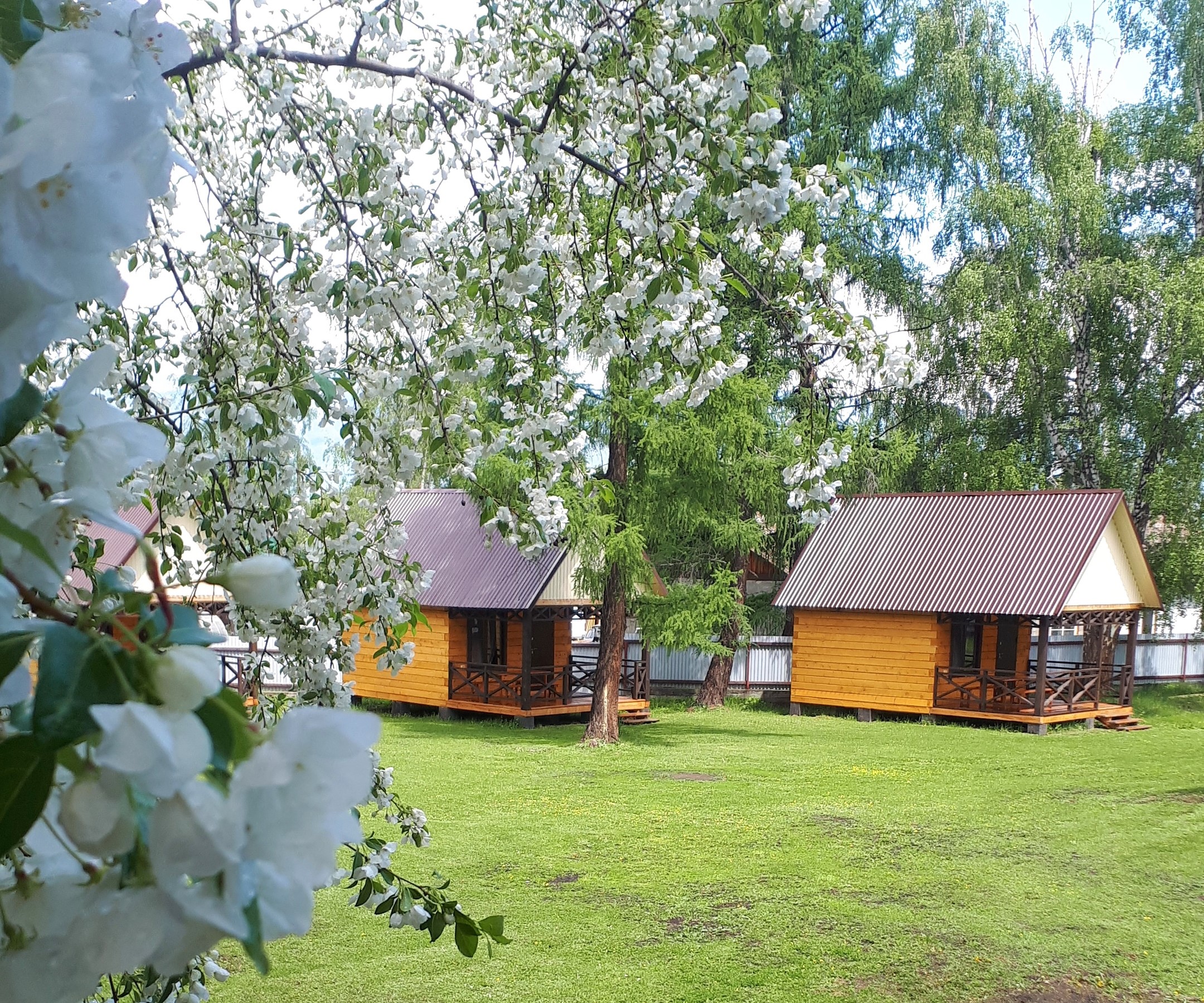 Фото Вершина Алтая