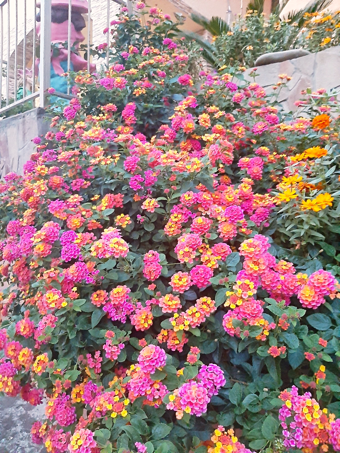 Фото Аэлита