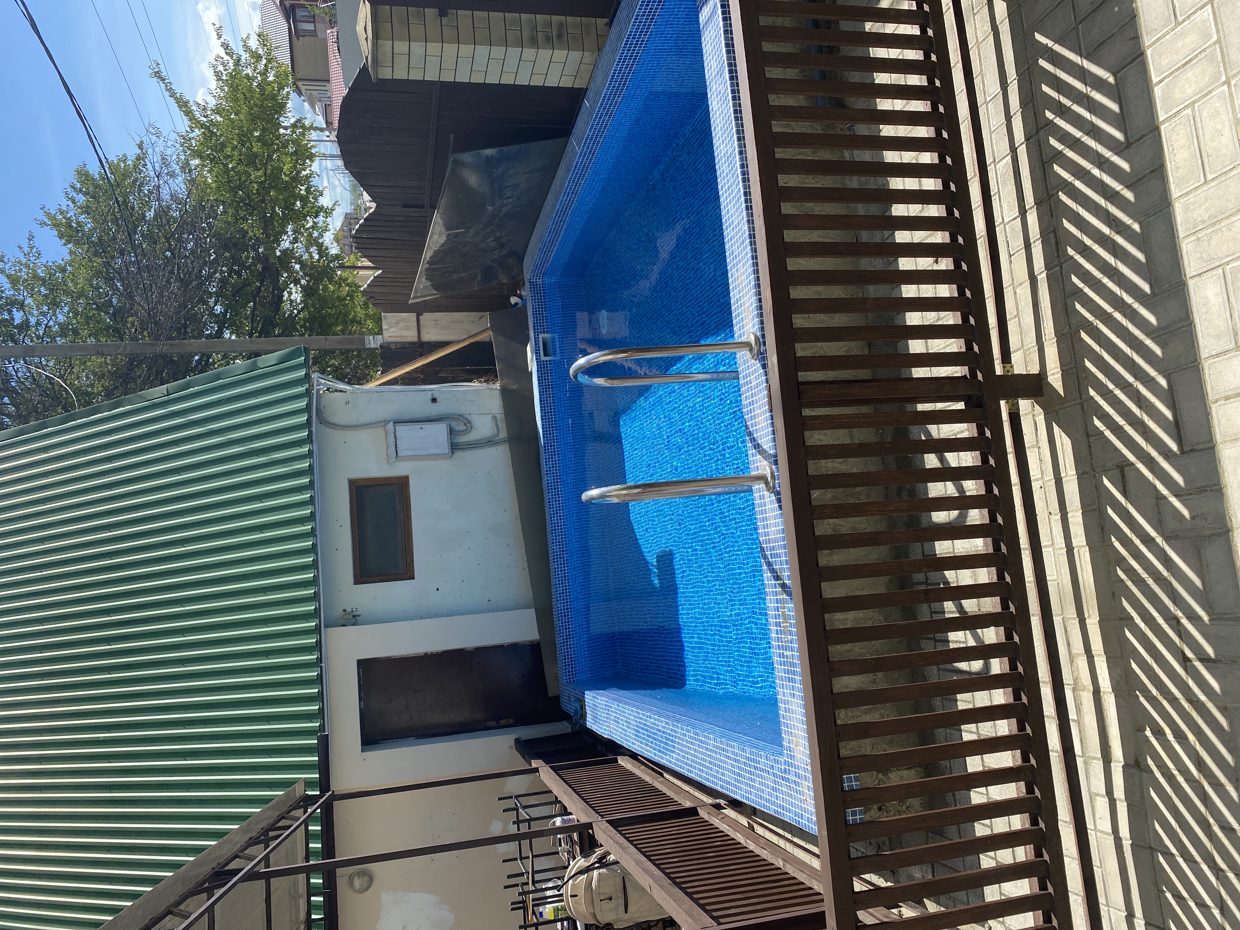 Фото Ромашка