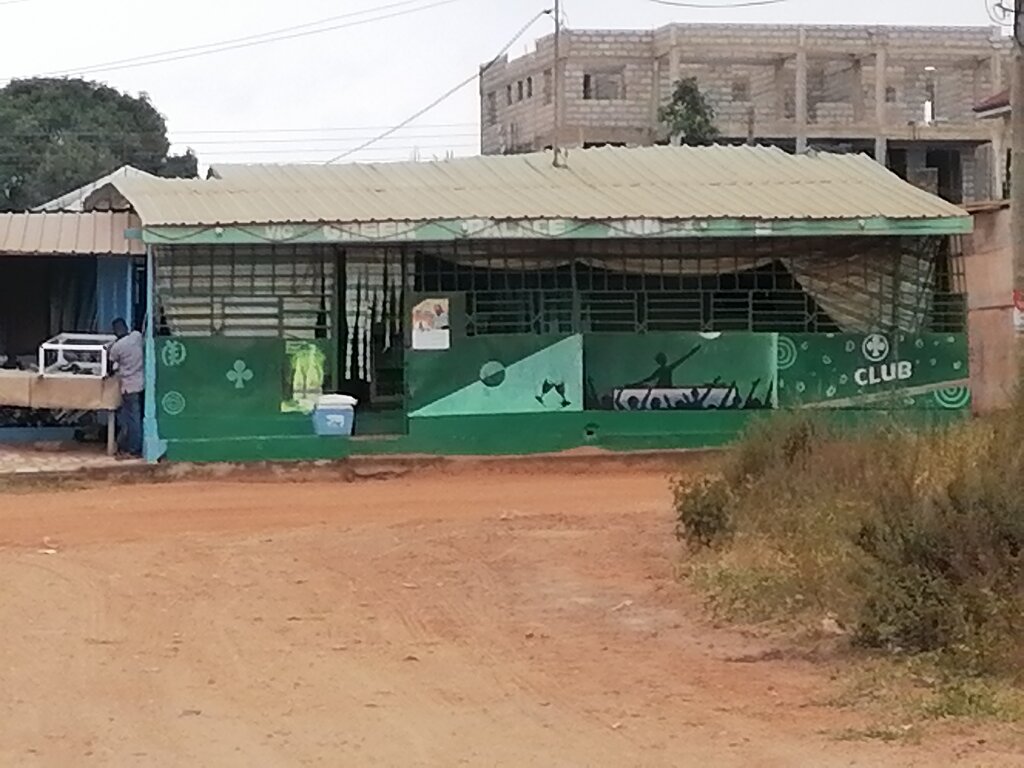 Bar, pub Green Palace Annex, Earth, photo