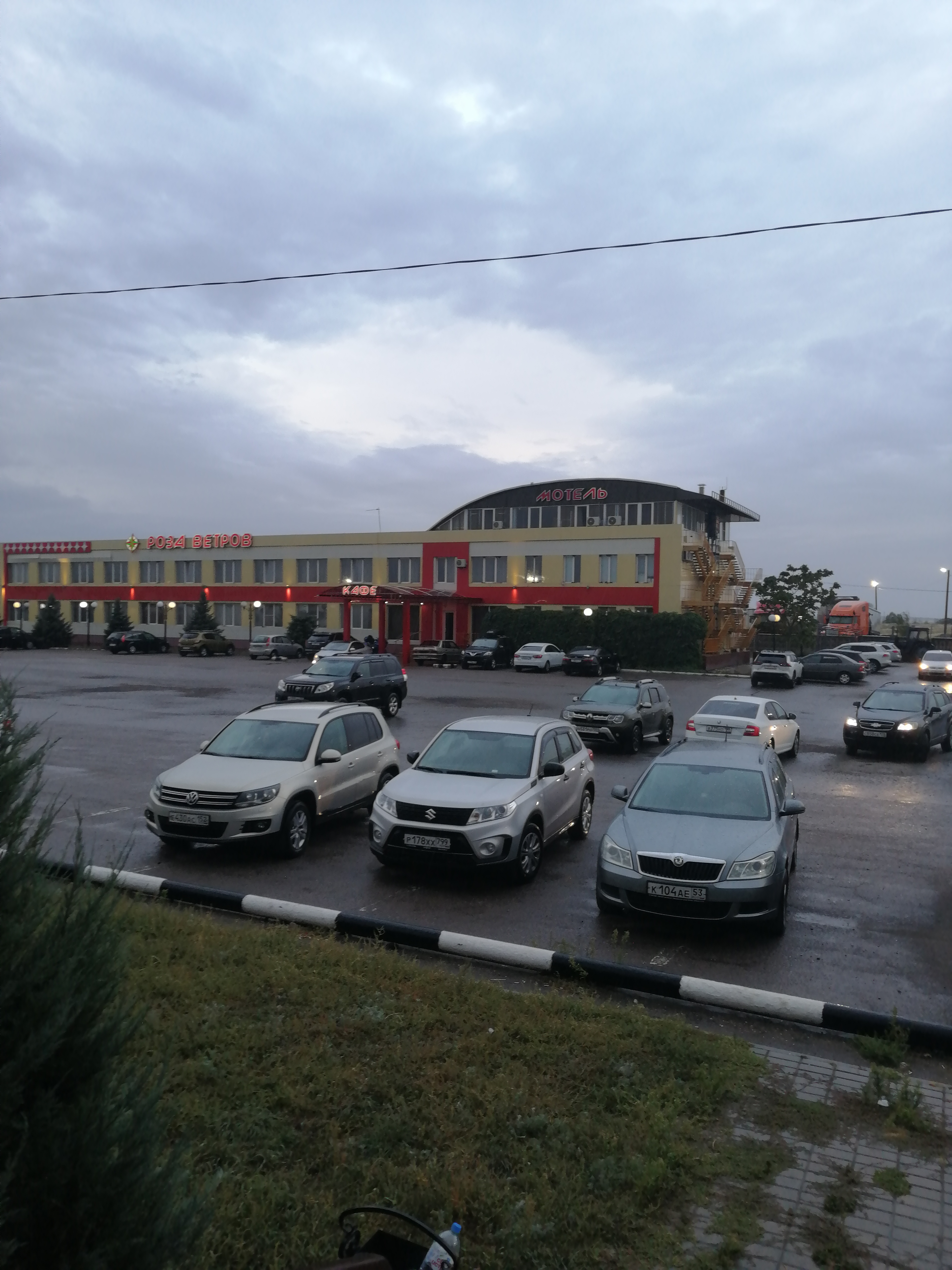 Фото Роза Ветров