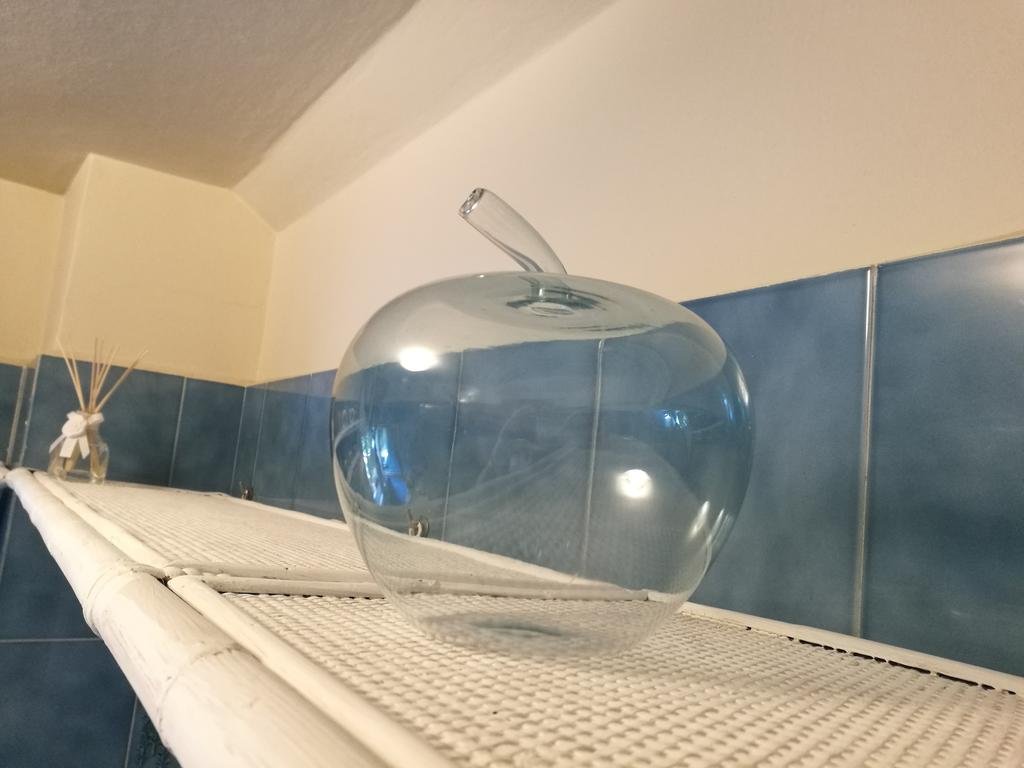 Фото Fiore di Zucca