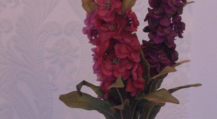 Фото Apartment Residence