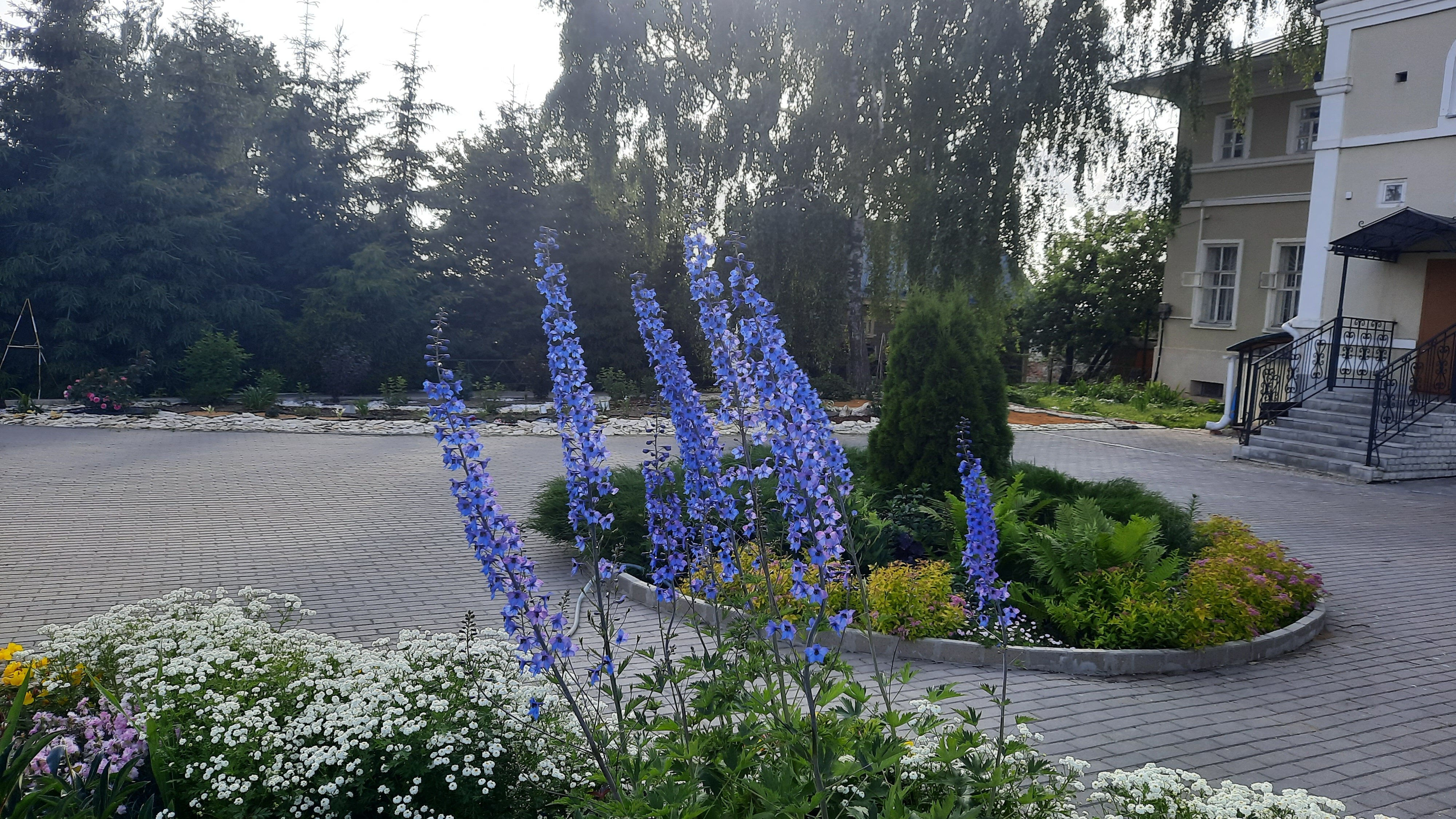 Фото Валентина