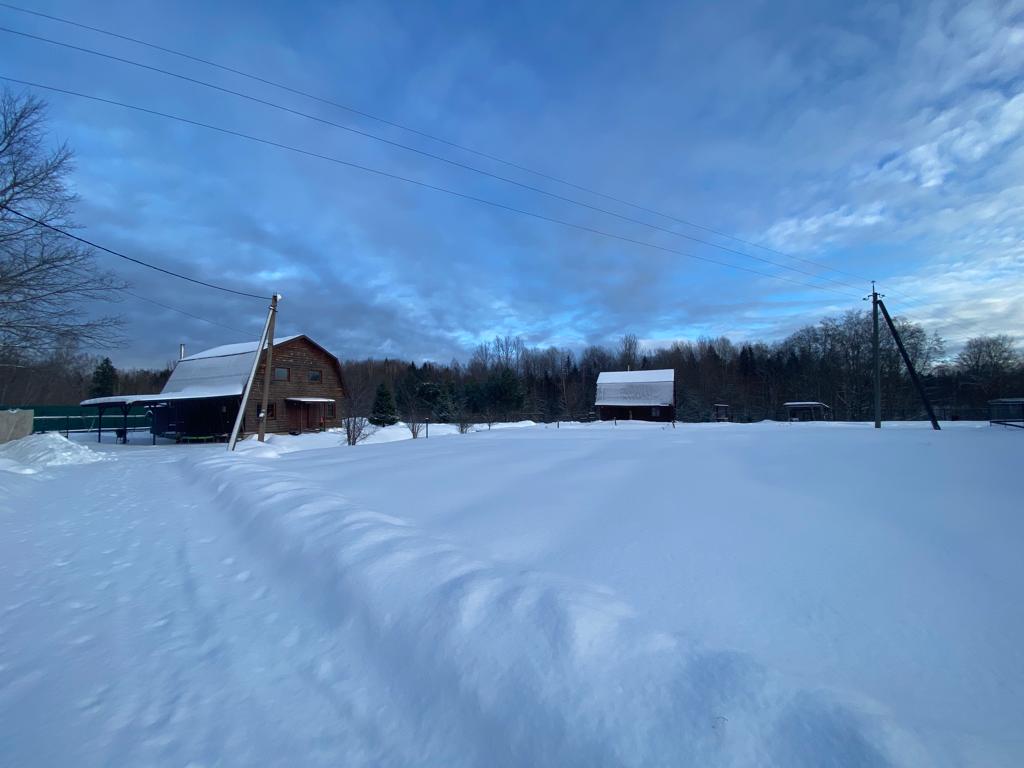 Фото Морошка