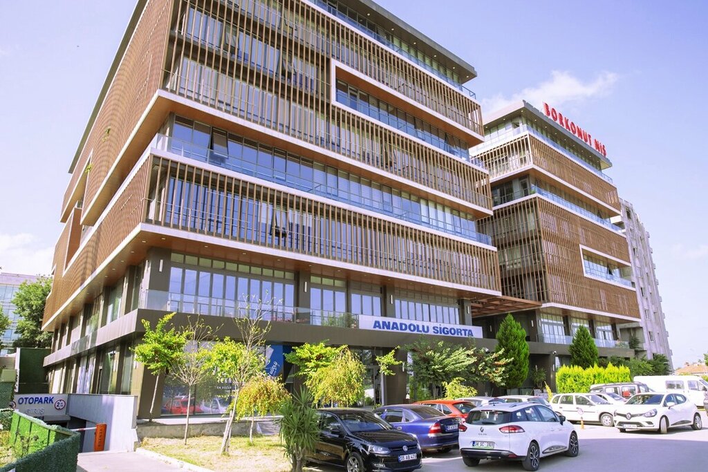 Business consulting Edurobs Consulting, Samsun, photo