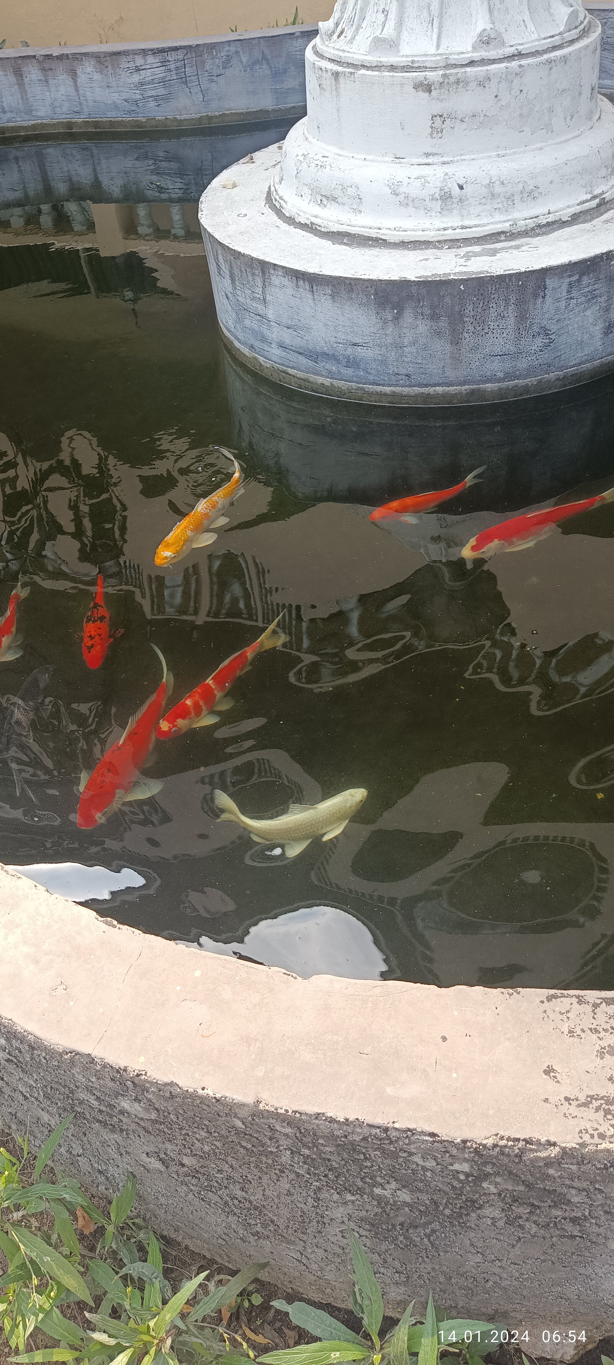 Фото Twin Palms Resort