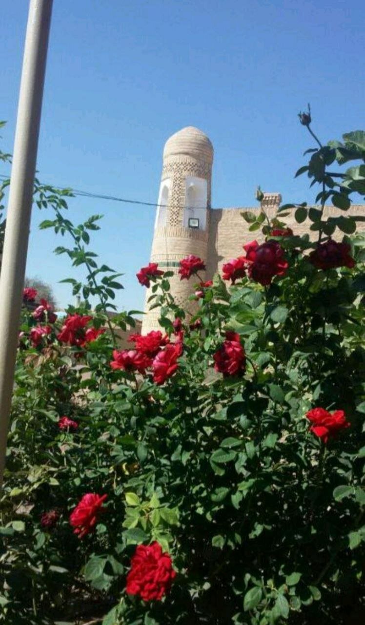 Фото Khiva Boyjon Ota