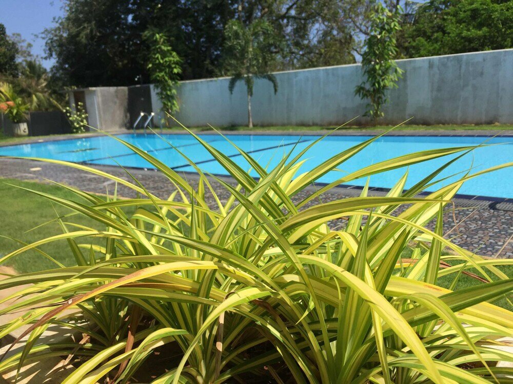 Фото Saman Resort