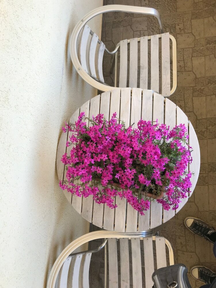 Фото Apartments Tarcizio