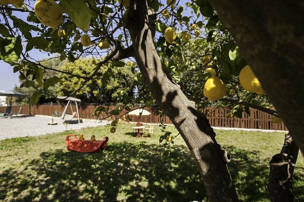 Фото Laugh & Life House