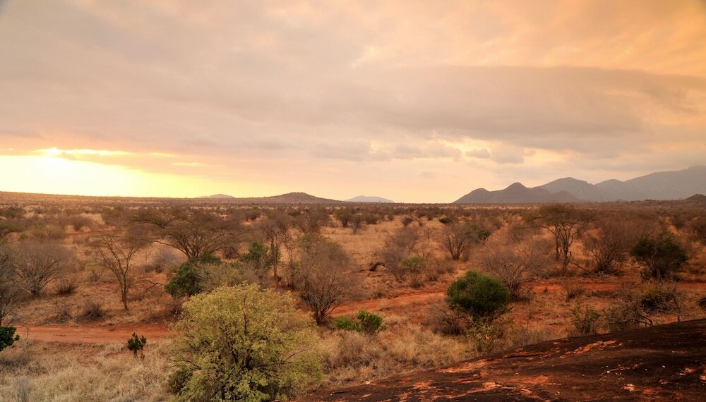 Фото Kilaguni Serena Safari Lodge