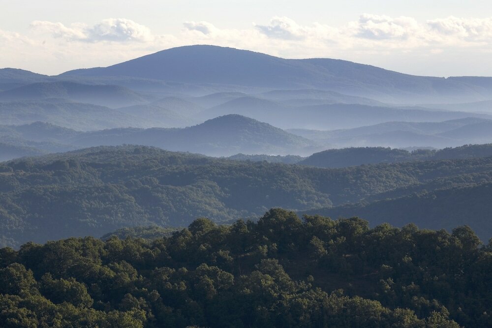 Фото Red Hotel Lozenetz