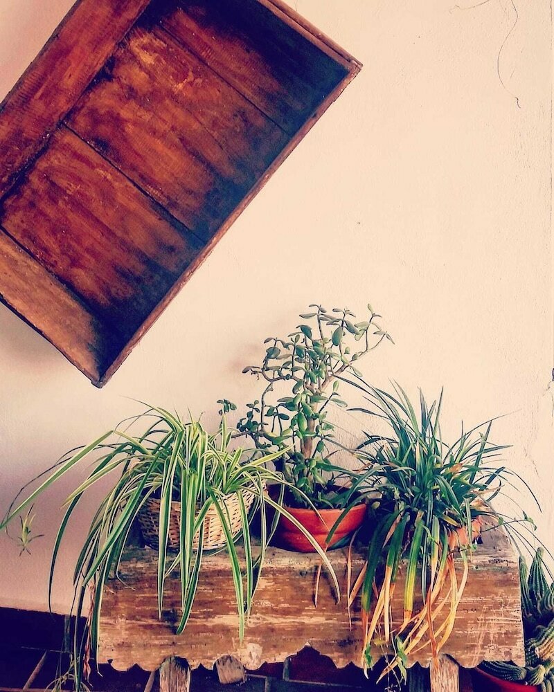 Фото Cuevaalegria