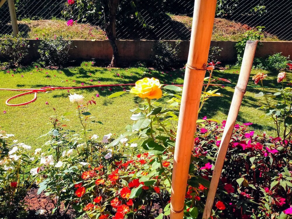 Фото Hirondelle Paraíso