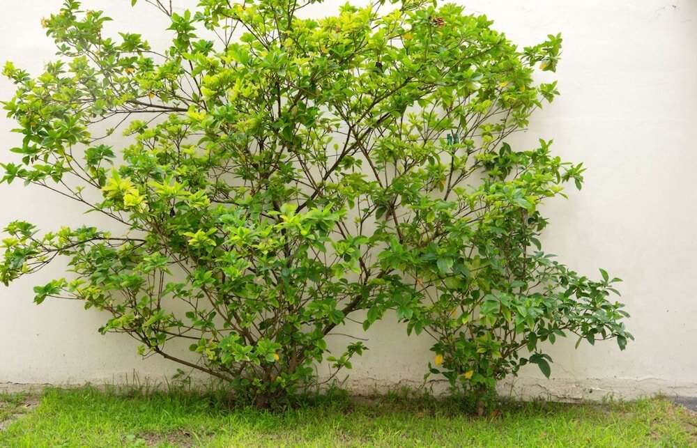 Фото Casa Avila by Vilvey Turismo