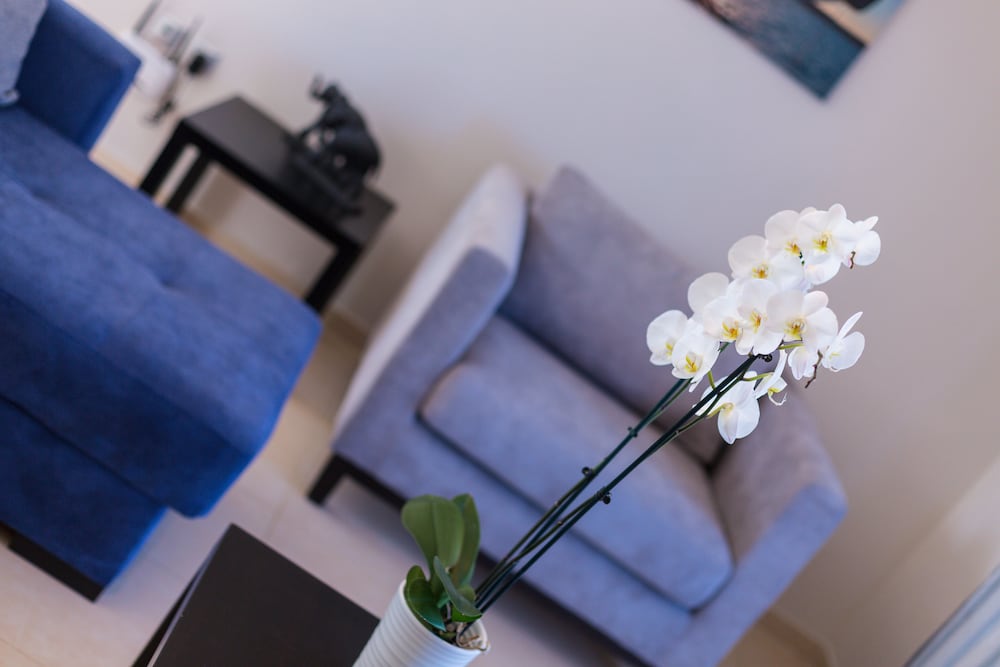 Фото Apartment Gabriel