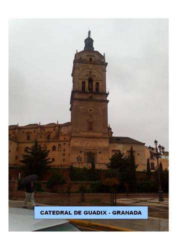 Фото Apartamentos Pajaro Azul