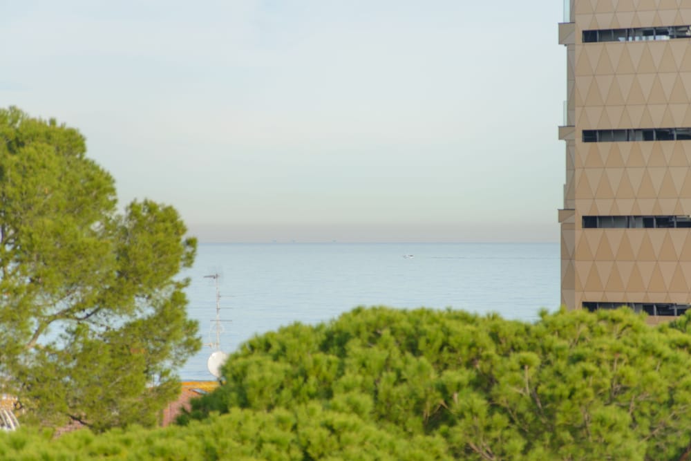 Фото Palace Hotel Domus Mea