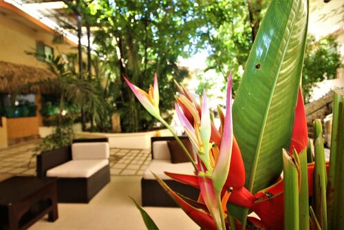 Гостиница Hotel Maya Tulipanes Palenque в Паленке
