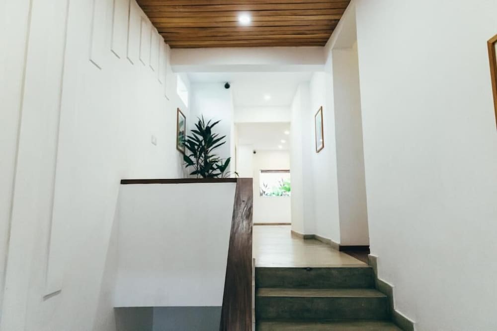 Фото Moss Colombo