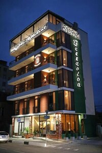 Hotel Bessarion (David Aghmashenebeli avenue, 81), hotel