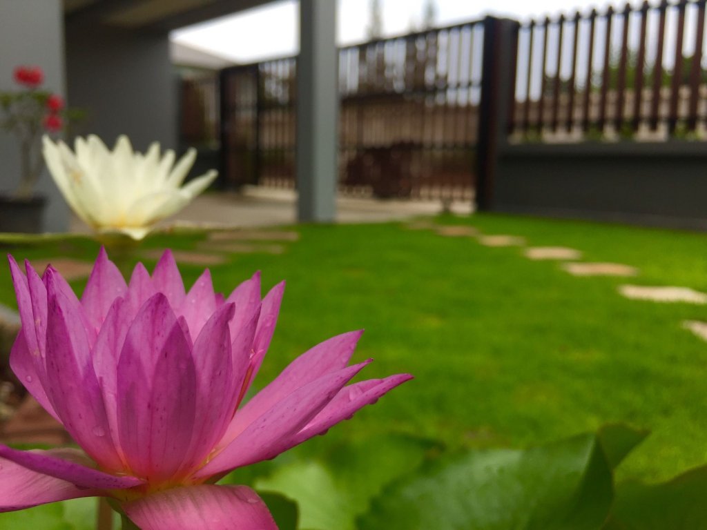 Фото Mondara Vacation Home