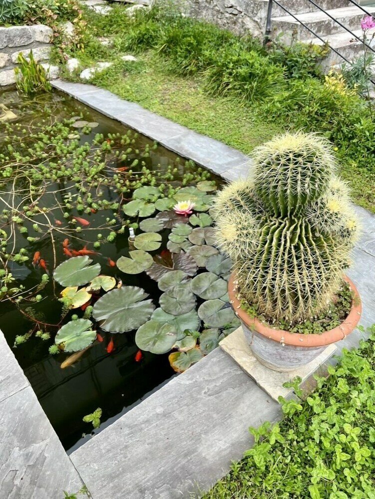 Фото Villa del Lis