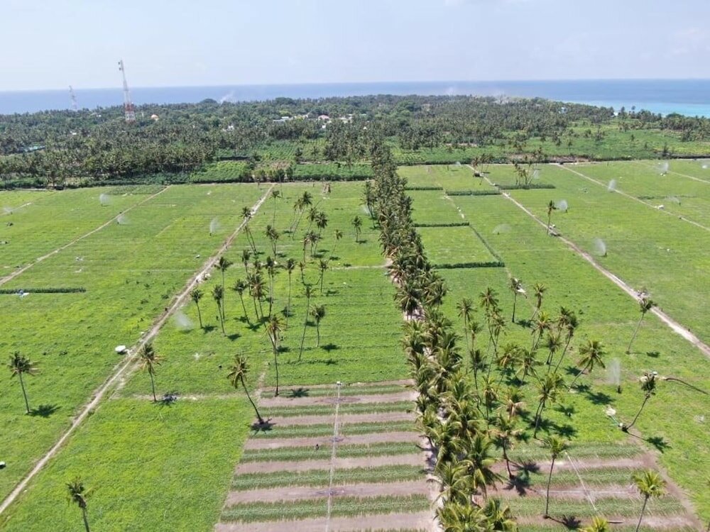 Фото Thila Farm View Guest House