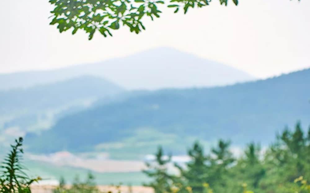 Фото Yeosu Dolsan Healing Pension