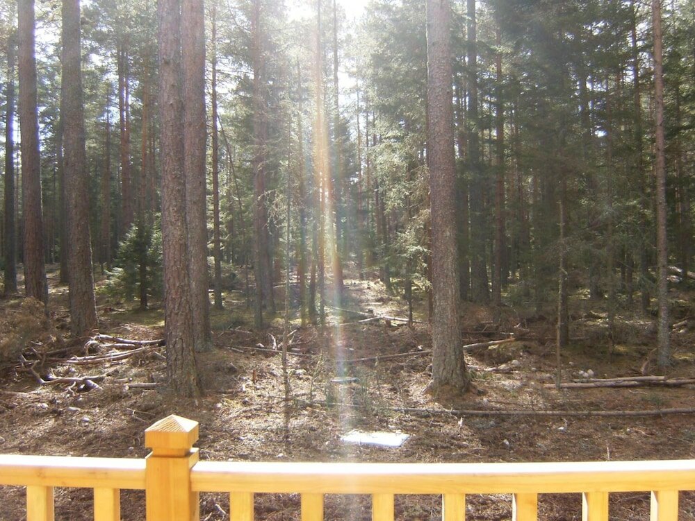 Фото Cairngorm Lodges