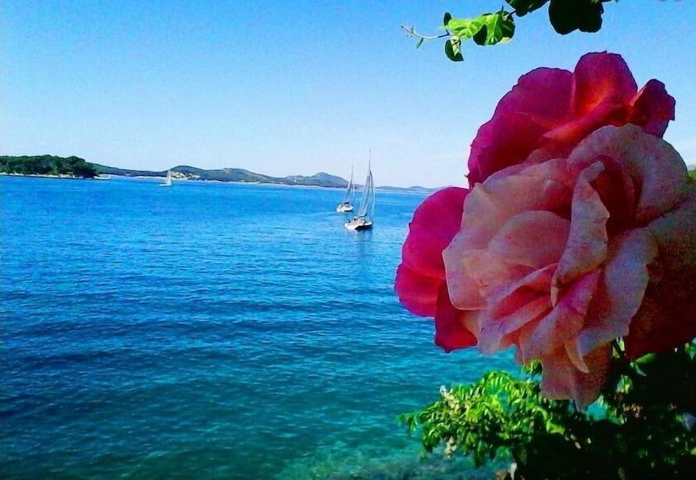 Фото Sea of Eden